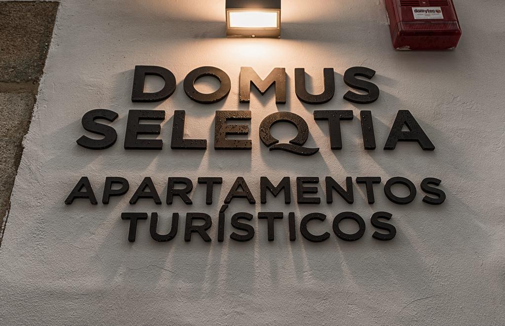 Apartamentos Turisticos Domus Seleqtia Plaza Mayor Caces エクステリア 写真